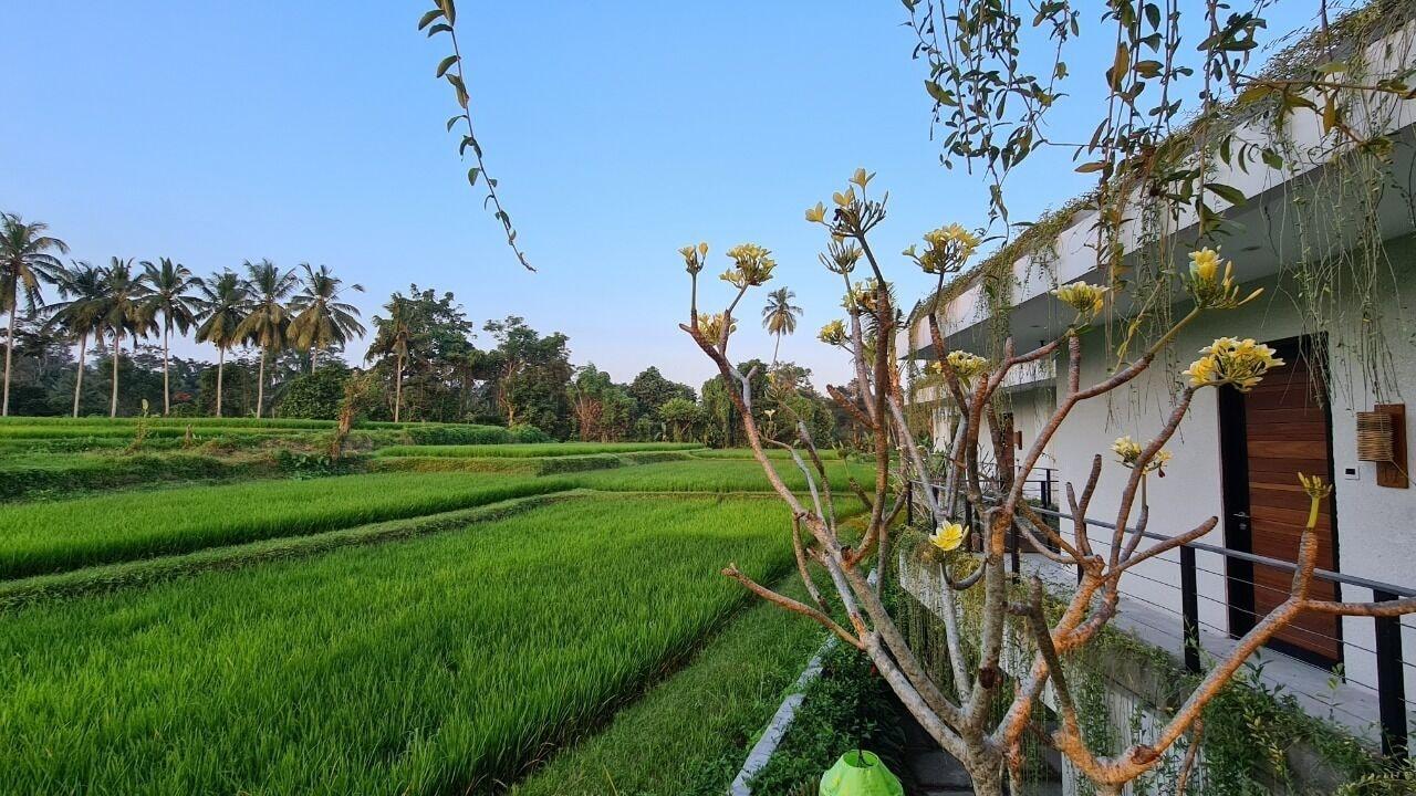 Ayurvedagram Bali Hotel Ubud  Exterior photo